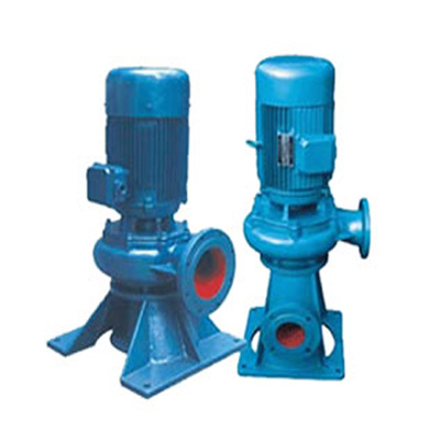  LW vertical sewage pump