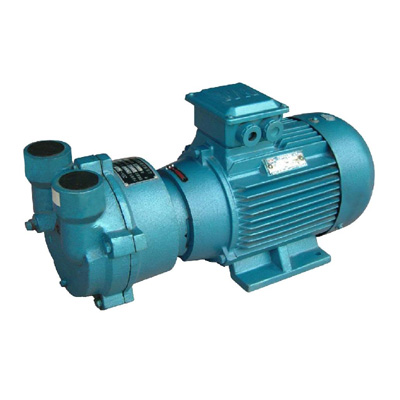  SKA water ring vacuum pump